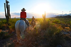 Horseback riding in the middle of giants saguaro cactus. Tanque Verde ranch. Tuc