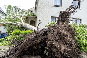 Cleanup after the tornado in Lippstadt