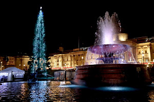 Trafalgar Square Christmas tree